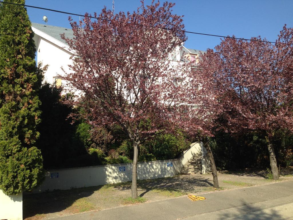 Belle Fleur Panzio Bed and Breakfast Βουδαπέστη Εξωτερικό φωτογραφία